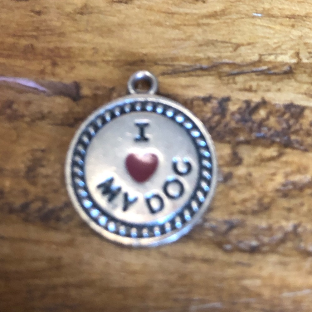 I ❤️ My Dog Charm